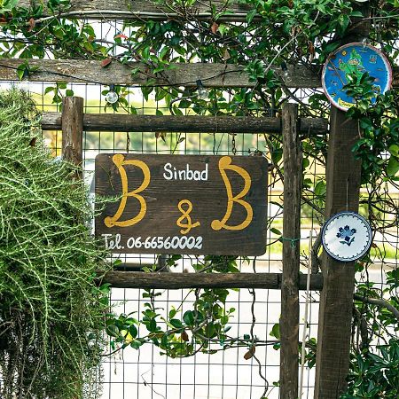 B&B Sinbad La Scialuppa Fregenae Buitenkant foto